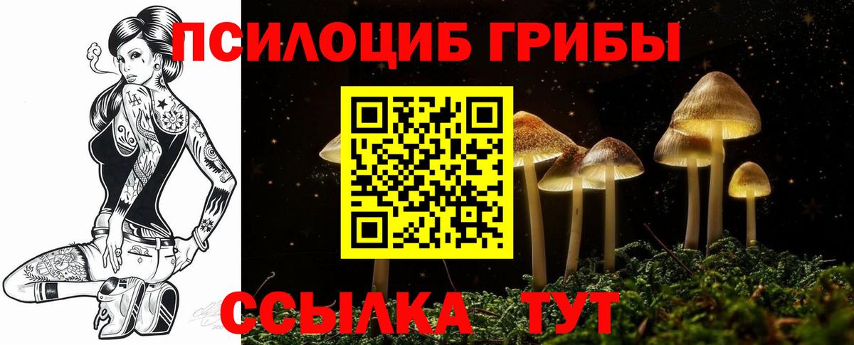 Галлюциногенные грибы Psilocybine cubensis  Псилоцибиновые грибы прущие грибы  Киров  Вход с VPN 